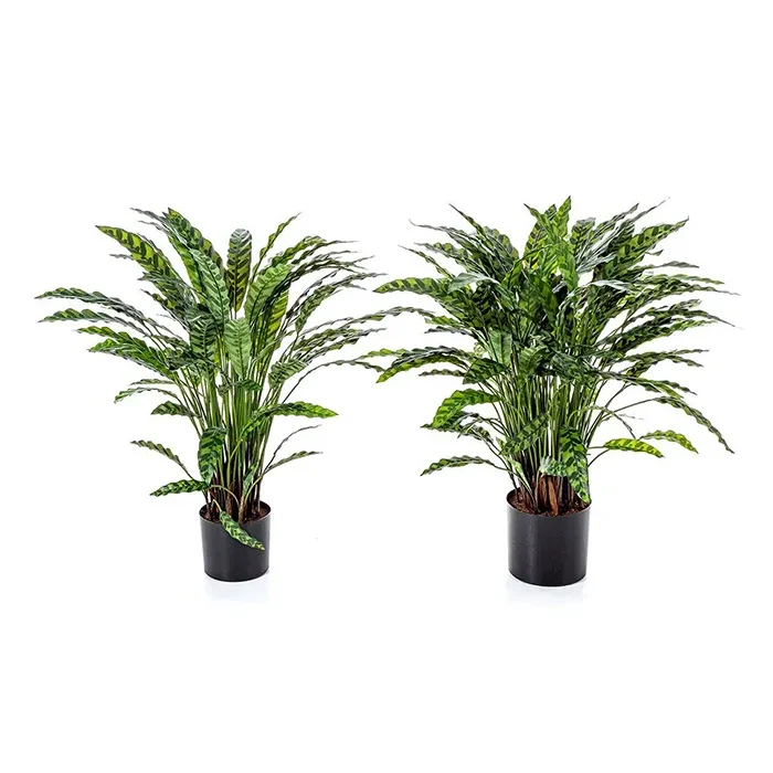 Искусственное растение натуральный куст калатеи 1012XL - 0