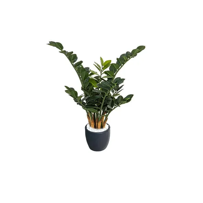 Искусственное растение натуральный замиокулькас 46302N - 0