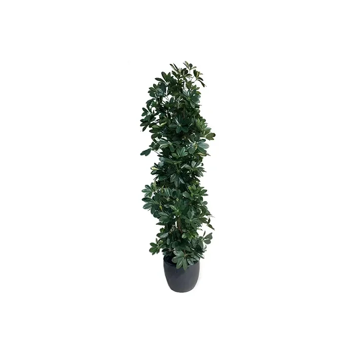 Искусственное растение натуральное шефлеровое дерево 38106NW - 0