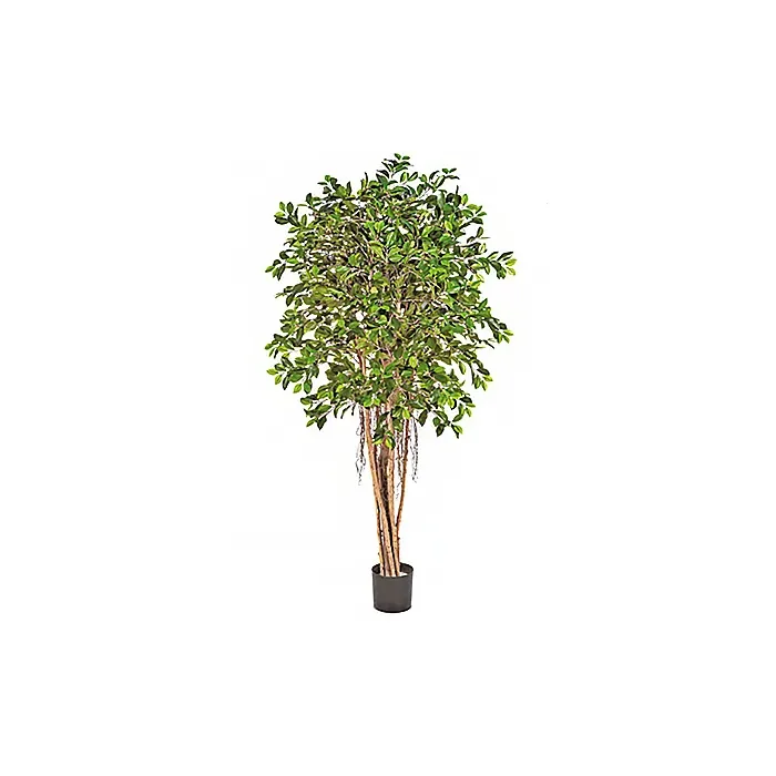 Искусственные растения FLORAWORLD Искусственное растение натуральный фикус 32906N — купить в наличии или под заказ | RIM - 0