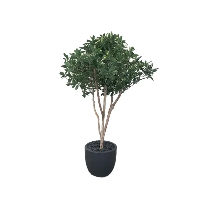 Искусственное растение EUONYMUS JAPONICUS TREE - 0