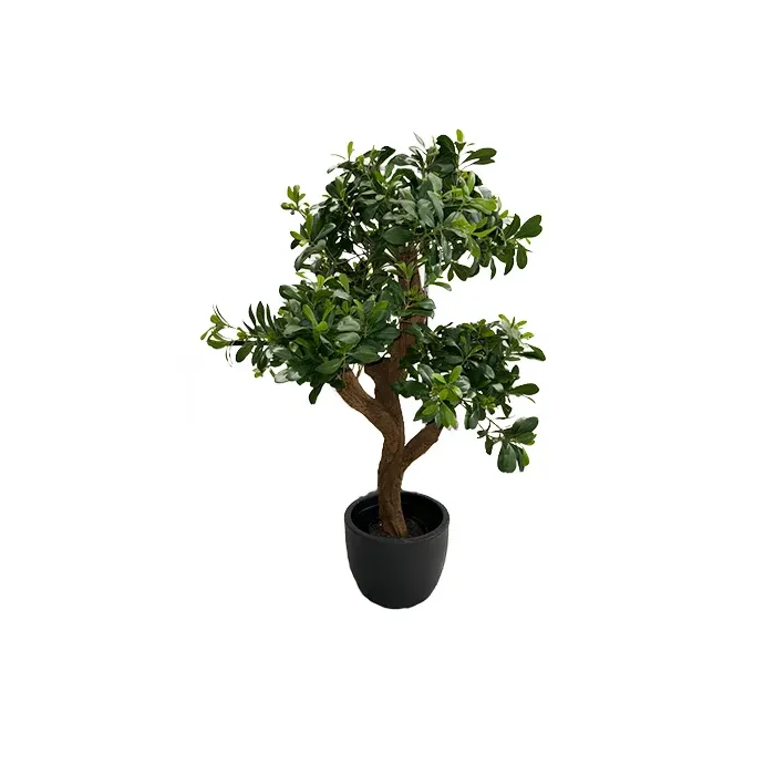 Искусственное растение PITTISPORUM MOUNTAIN TREE - 0