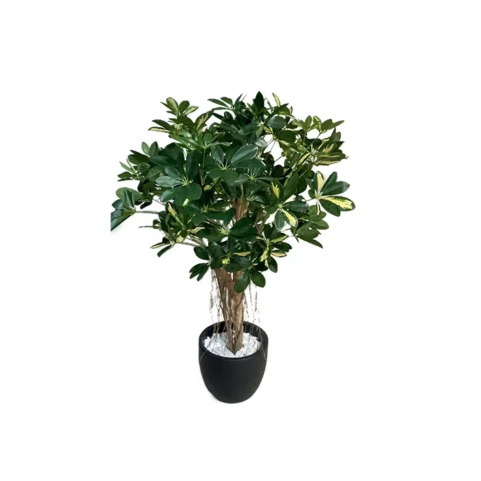 Искусственное растение натуральное дерево шефлера 38304NW - 0