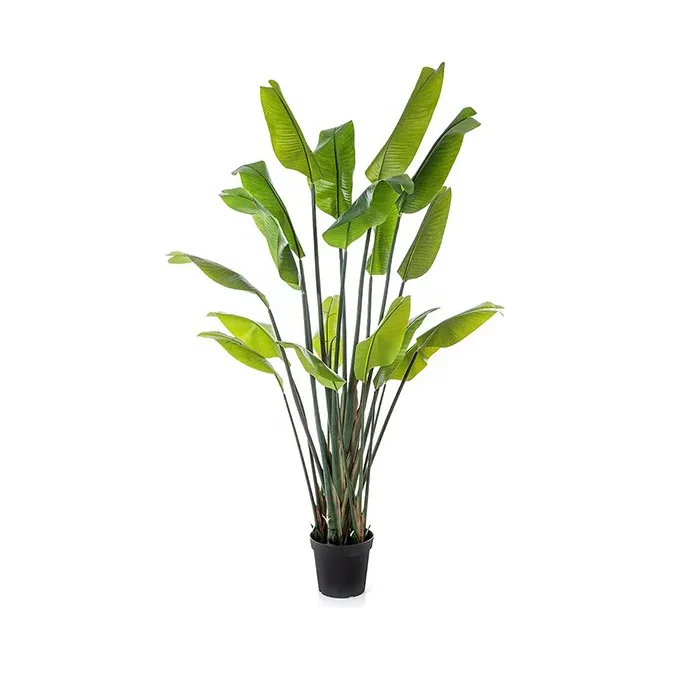 Штучнi рослини FLORAWORLD Штучна рослина STRELITZIA TRAVELLER PALM — купити в наявності або на замовлення | RIM - 0
