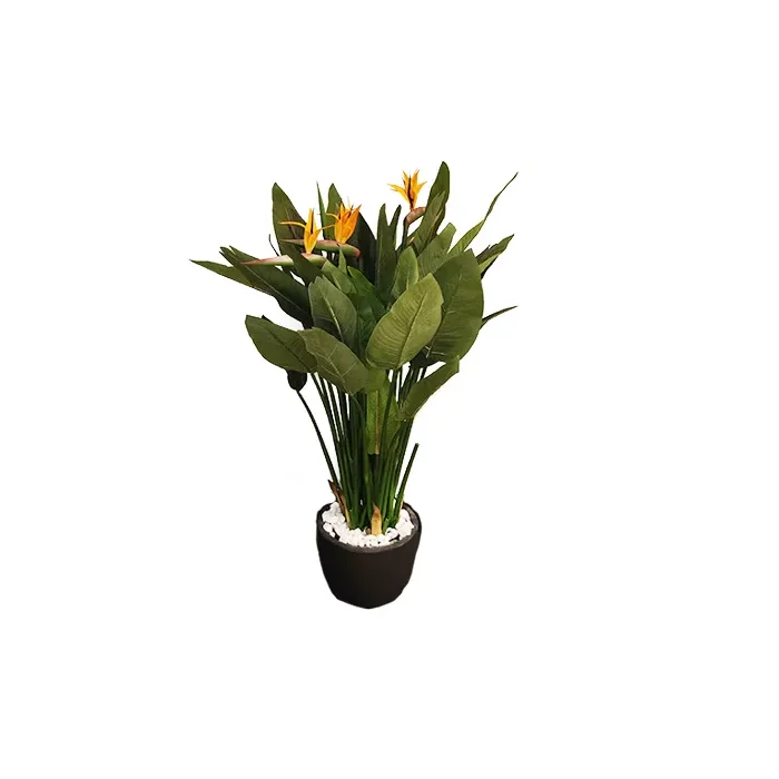 Штучнi рослини FLORAWORLD Штучна рослина натуральна стреліція 1005N — купити в наявності або на замовлення | RIM - 0