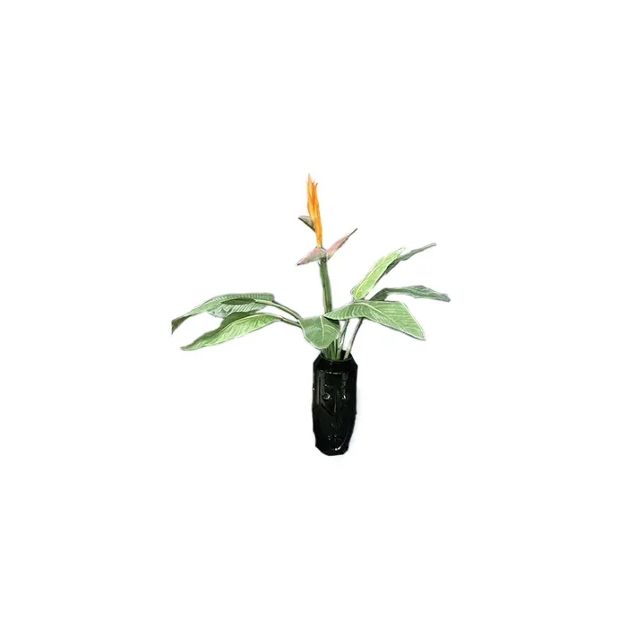 Искусственные растения FLORAWORLD Искусственное растение STRELITZIA BUSH — купить в наличии или под заказ | RIM - 0