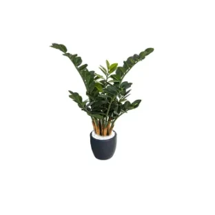 Искусственное растение натуральный замиокулькас 46302N