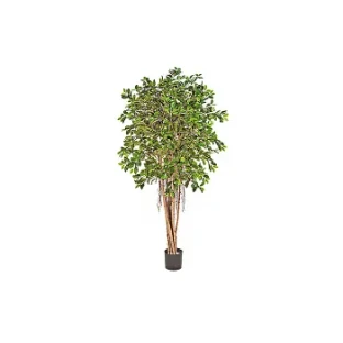 Штучнi рослини FLORAWORLD Штучна рослина натуральний фікус 32906N — купити в наявності або на замовлення | RIM
