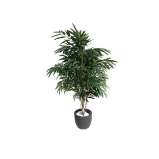 Искусственное растение ROYAL LONGIFOLIA TREE