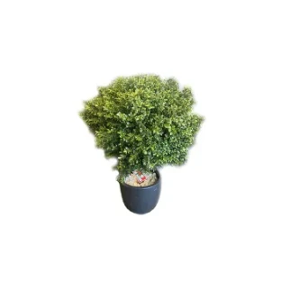 Искусственное растение натуральный самшытовый куст 44570N