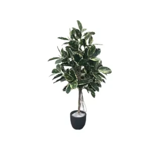 Искусственное растение натуральный фикус 33406NW