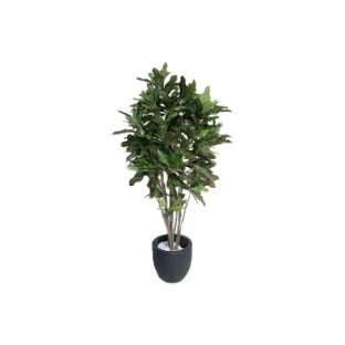 Искусственное растение натуральное кротоновое дерево 37605N