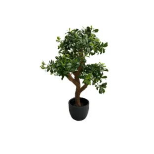 Штучнi рослини FLORAWORLD Штучна рослина PITTISPORUM MOUNTAIN TREE — купити в наявності або на замовлення | RIM