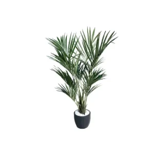 Штучнi рослини FLORAWORLD Штучна рослина натуральна пальма 1343XL — купити в наявності або на замовлення | RIM