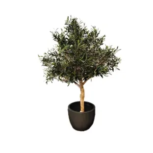 Штучна рослина натуральне олівкове дерево 27605N