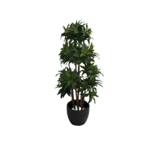 Штучна рослина драцена натуральна 37204N