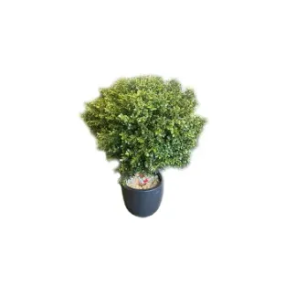 Штучна рослина натуральний самшитовий кущ 44570N