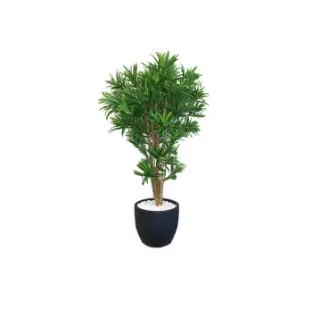 Искусственное растение натуральная драцена 36905N