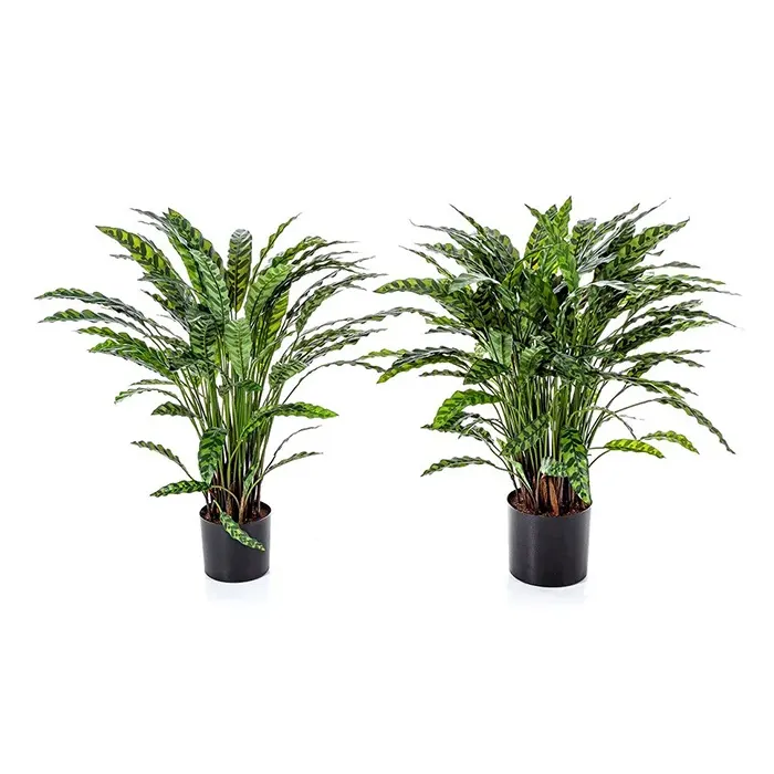 Искусственное растение натуральный куст калатеи 1012XL - 0