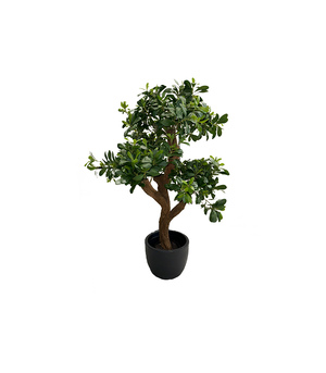 Штучна рослина PITTISPORUM MOUNTAIN TREE
